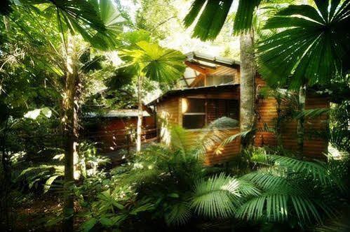 Cape Tribulation Resort & Spa Экстерьер фото