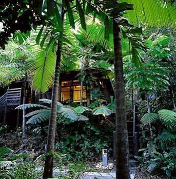 Cape Tribulation Resort & Spa Экстерьер фото