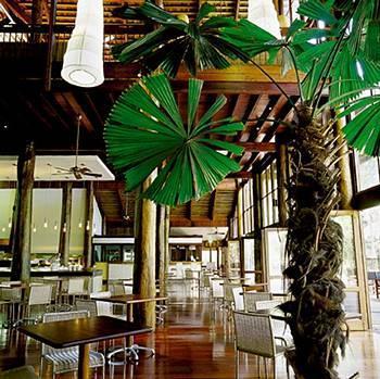 Cape Tribulation Resort & Spa Экстерьер фото